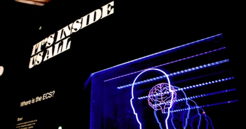 interaksi bikin fomo